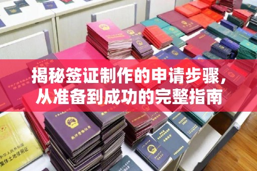 农安揭秘签证制作的申请步骤，从准备到成功的完整指南