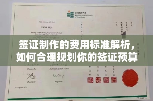 农安签证制作的费用标准解析，如何合理规划你的签证预算