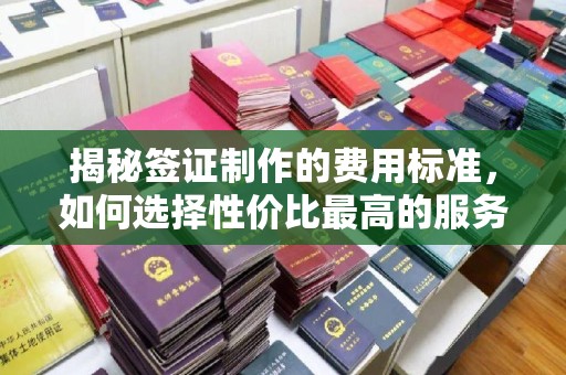 农安揭秘签证制作的费用标准，如何选择性价比最高的服务？